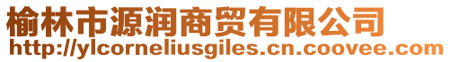 榆林市源潤商貿有限公司