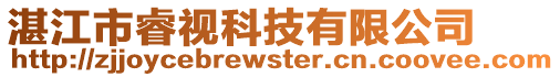 湛江市睿視科技有限公司