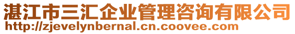 湛江市三匯企業(yè)管理咨詢有限公司