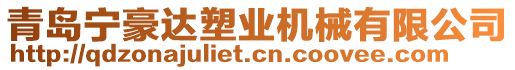 青島寧豪達塑業(yè)機械有限公司