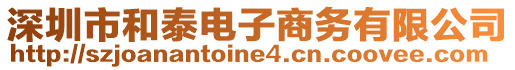 深圳市和泰電子商務(wù)有限公司