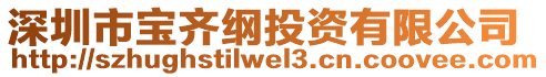 深圳市寶齊綱投資有限公司