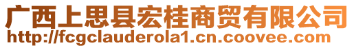 廣西上思縣宏桂商貿(mào)有限公司