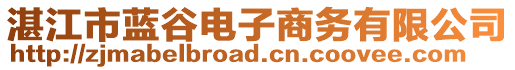 湛江市藍(lán)谷電子商務(wù)有限公司