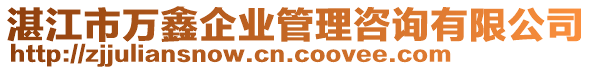 湛江市萬鑫企業(yè)管理咨詢有限公司