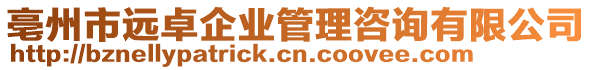 亳州市遠(yuǎn)卓企業(yè)管理咨詢有限公司