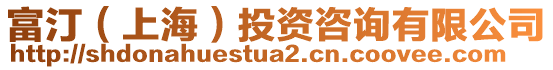 富?。ㄉ虾#┩顿Y咨詢有限公司