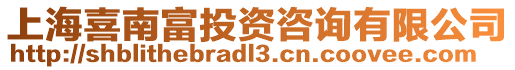 上海喜南富投資咨詢有限公司