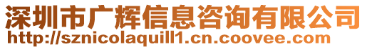 深圳市廣輝信息咨詢有限公司