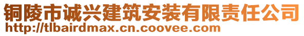 銅陵市誠興建筑安裝有限責(zé)任公司