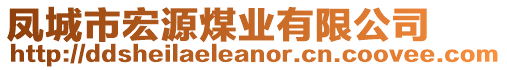 鳳城市宏源煤業(yè)有限公司