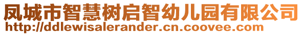 鳳城市智慧樹啟智幼兒園有限公司