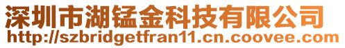 深圳市湖錳金科技有限公司