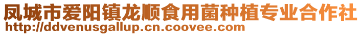 鳳城市愛陽鎮龍順食用菌種植專業合作社