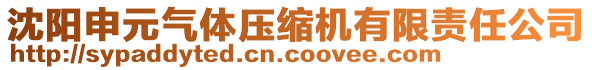 沈陽(yáng)申元?dú)怏w壓縮機(jī)有限責(zé)任公司