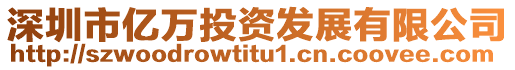 深圳市億萬(wàn)投資發(fā)展有限公司