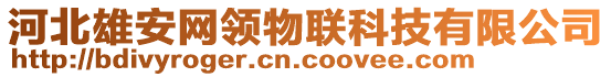 河北雄安網(wǎng)領(lǐng)物聯(lián)科技有限公司