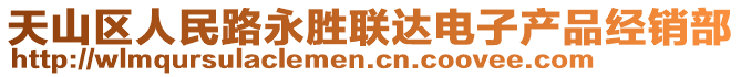 天山區(qū)人民路永勝聯(lián)達(dá)電子產(chǎn)品經(jīng)銷部