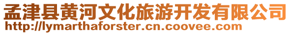 孟津縣黃河文化旅游開發(fā)有限公司