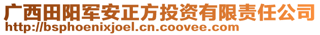 廣西田陽軍安正方投資有限責(zé)任公司