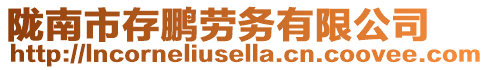 隴南市存鵬勞務(wù)有限公司