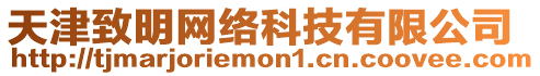 天津致明網絡科技有限公司