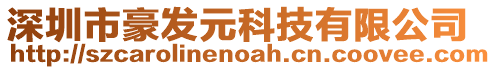 深圳市豪發元科技有限公司