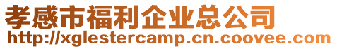 孝感市福利企業總公司