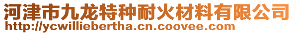 河津市九龍特種耐火材料有限公司