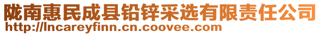 隴南惠民成縣鉛鋅采選有限責(zé)任公司