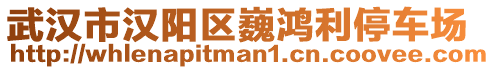 武漢市漢陽區巍鴻利停車場