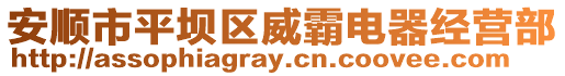 安順市平壩區威霸電器經營部