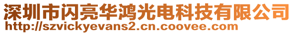 深圳市閃亮華鴻光電科技有限公司