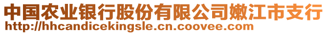 中國農(nóng)業(yè)銀行股份有限公司嫩江市支行