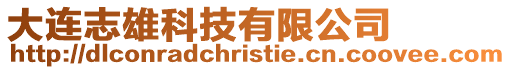 大連志雄科技有限公司