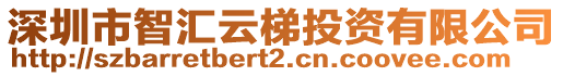 深圳市智匯云梯投資有限公司