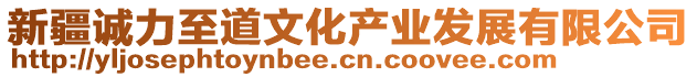 新疆誠(chéng)力至道文化產(chǎn)業(yè)發(fā)展有限公司