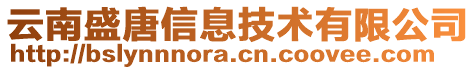 云南盛唐信息技術有限公司