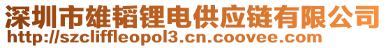 深圳市雄韜鋰電供應鏈有限公司