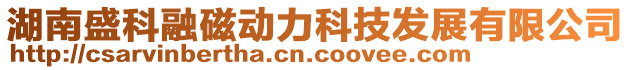 湖南盛科融磁動力科技發展有限公司
