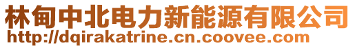 林甸中北電力新能源有限公司