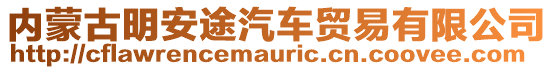 內蒙古明安途汽車貿易有限公司