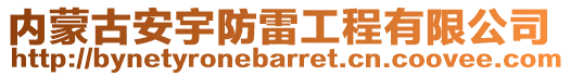 內(nèi)蒙古安宇防雷工程有限公司