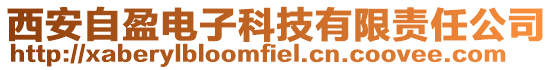 西安自盈電子科技有限責任公司
