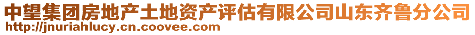 中望集團房地產土地資產評估有限公司山東齊魯分公司