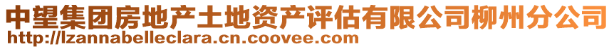 中望集團房地產土地資產評估有限公司柳州分公司