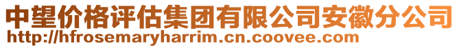 中望價(jià)格評估集團(tuán)有限公司安徽分公司