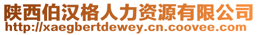 陜西伯漢格人力資源有限公司