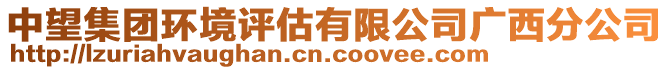 中望集團環(huán)境評估有限公司廣西分公司