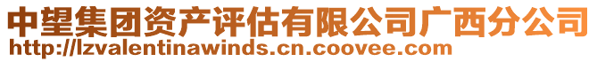 中望集團(tuán)資產(chǎn)評(píng)估有限公司廣西分公司